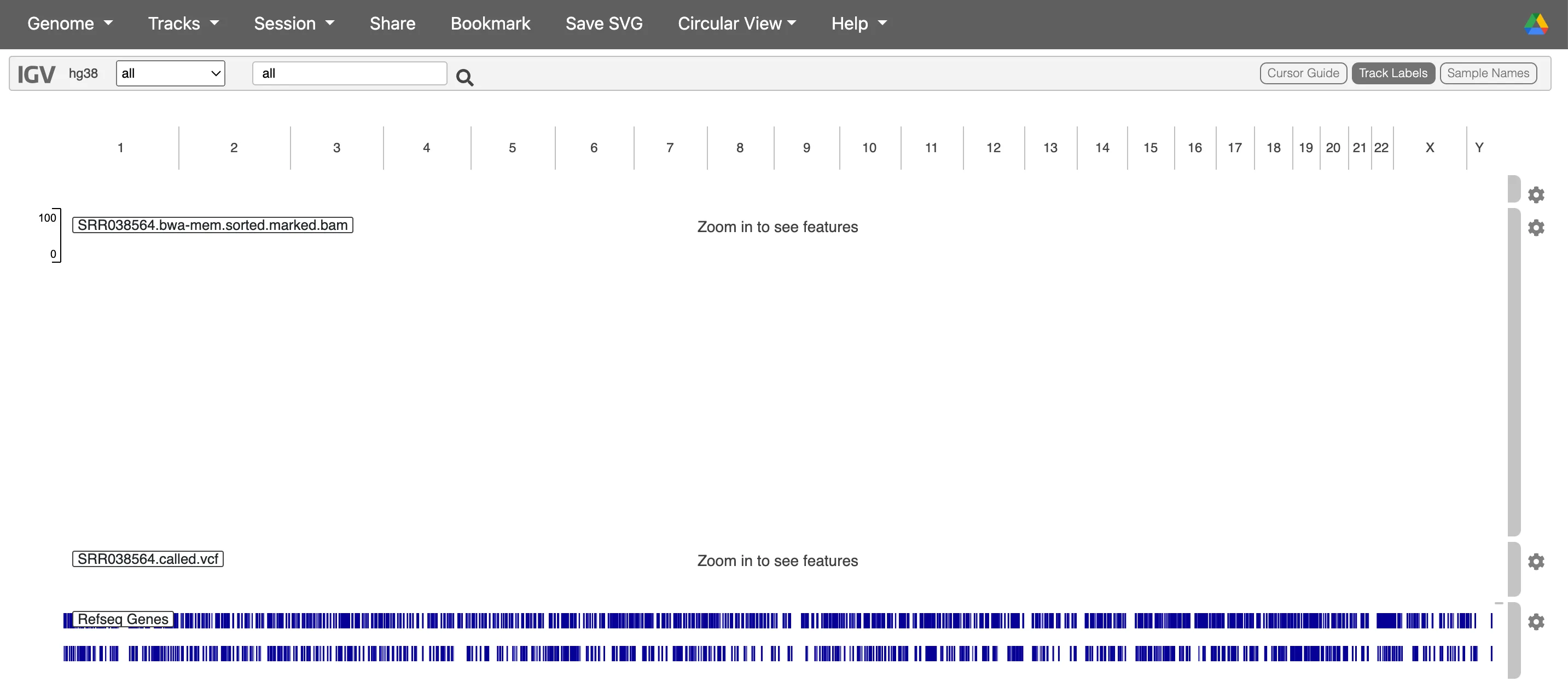 IGV multi-track view