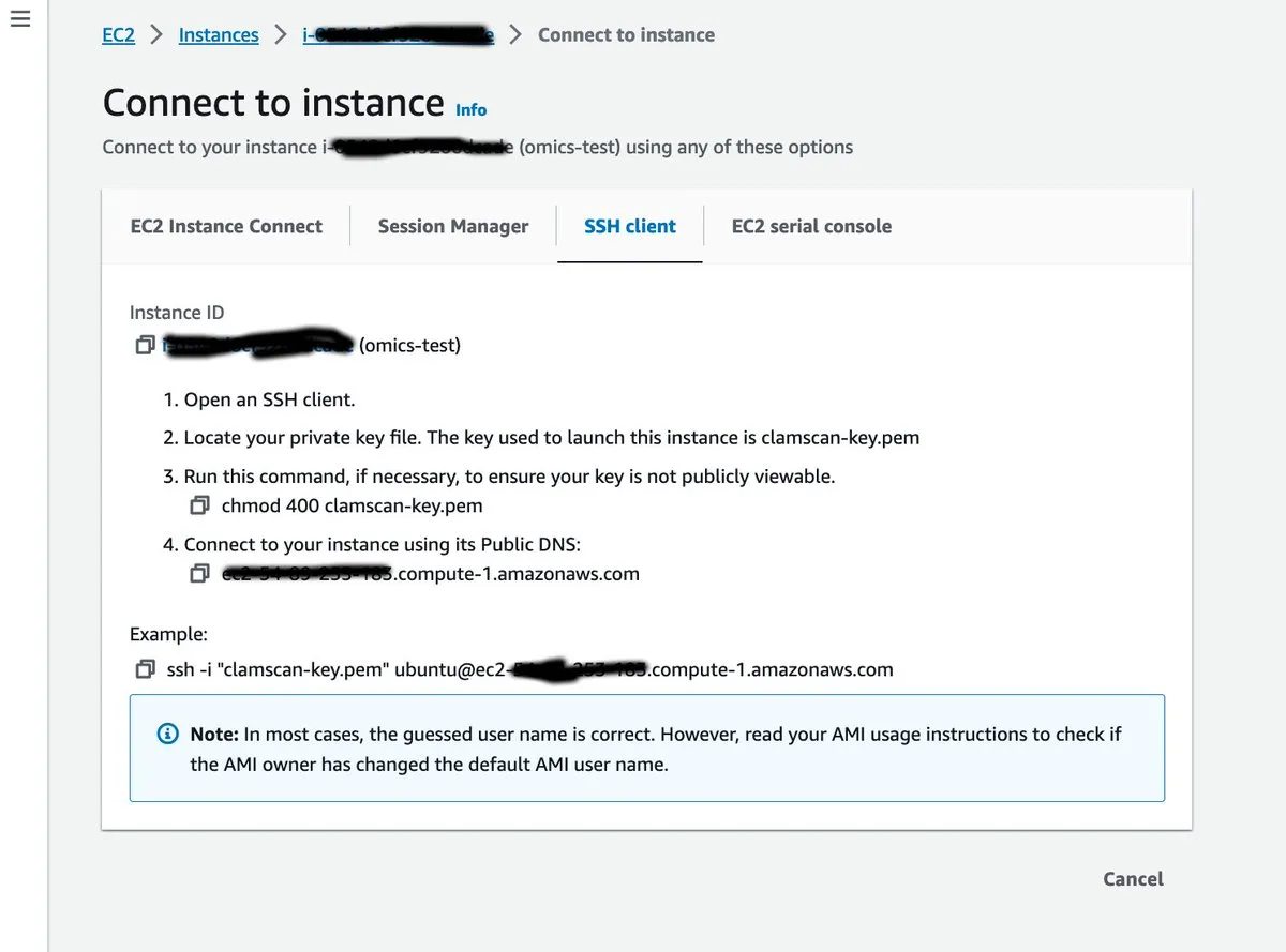 SSH into your EC2 instance