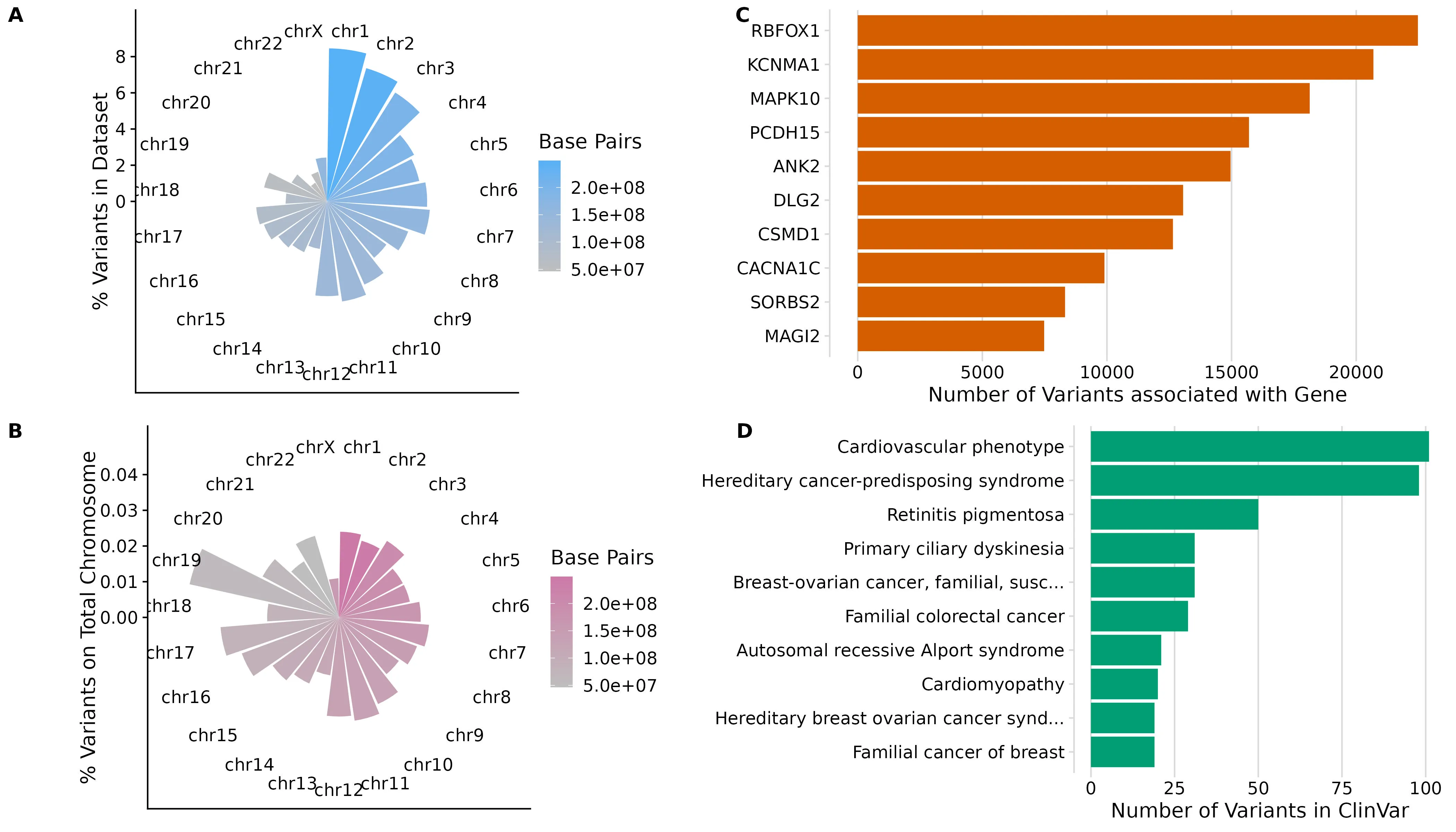 (A) The number of variants on each chromosome as a percentage of the total variants in the dataset (y-axis). Chromosomes are shown sequentially clockwise. The fill indicates the total number of base pairs on a given chromosome. (B) The number of variants on each chromosome as a percentage of the total base pairs on a chromosome (y-axis). Chromosomes are shown sequentially clockwise. The fill indicates the total number of base pairs on a given chromosome. (C) The number of unique protein-coding variants (x-axis) associated with a given gene (y-axis). (D) The number of unique protein-coding variants (x-axis) associated with a given phenotype (y-axis).
