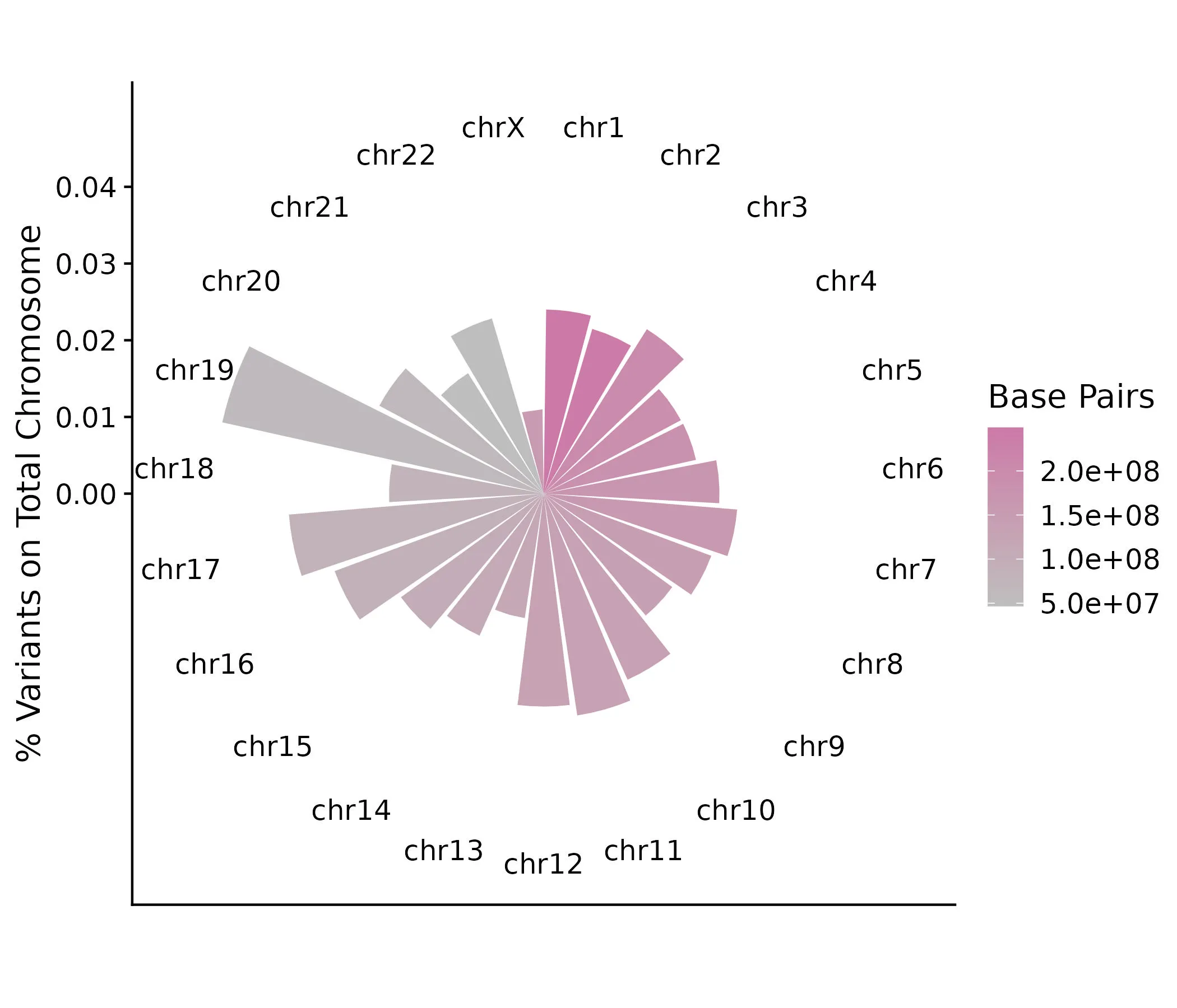 The number of variants on each chromosome as a percentage of the total base pairs on a chromosome (y-axis). Chromosomes are shown sequentially clockwise. The fill indicates the total number of base pairs on a given chromosome.